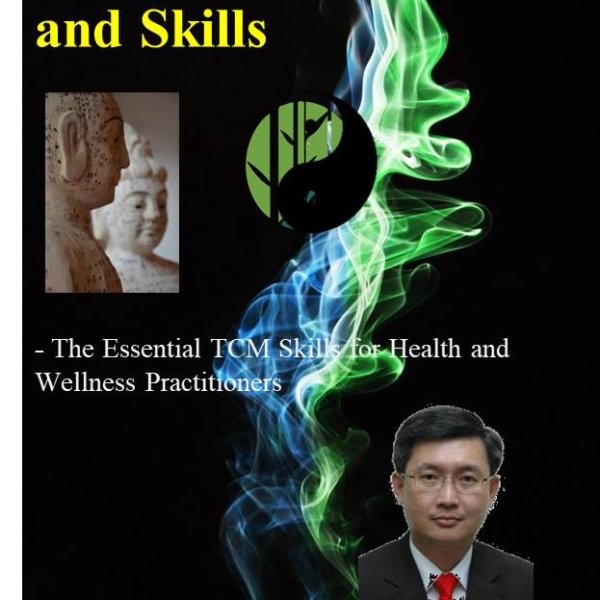 Meridian Knowledge and Skills small e