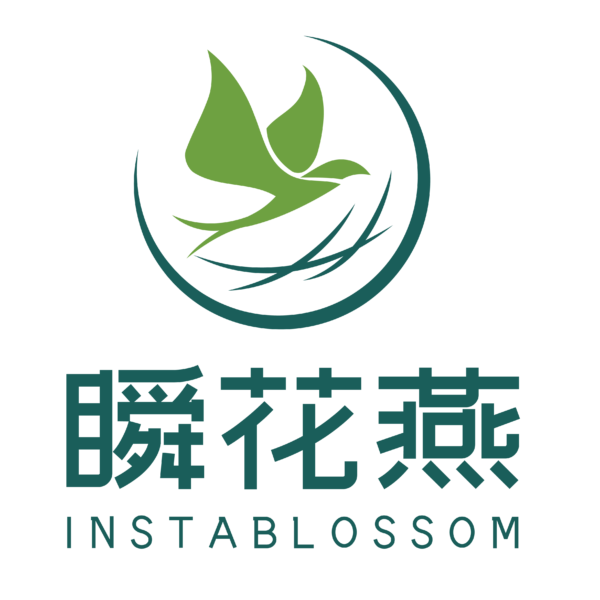 瞬花燕_画板 colour