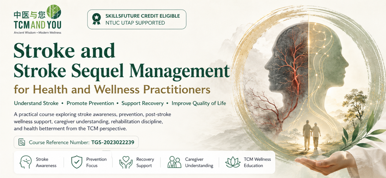 Stroke and stroke sequel management TCM perspective course image representing rehabilitation, meridians, recovery, balance and health betterment
